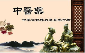 絲路傳杏林，仁心潤萬邦 中醫(yī)學(xué)者譚鎮(zhèn)平推動中醫(yī)藥文化在新時(shí)代絲路上綻放異彩